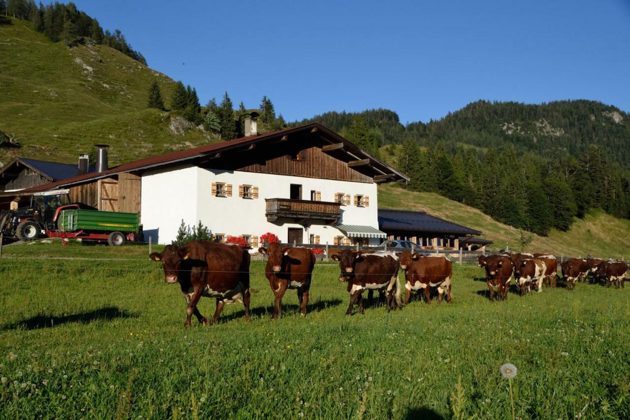 Hacklhof Farm stay Kossen